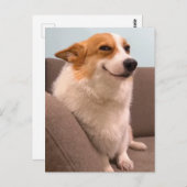 Briefkaart Smiling Corgi Meme (Voorkant / Achterkant)