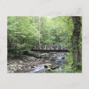 Briefkaart Smokey Mountain Creek
