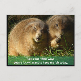 Briefkaart: Snarky Prairie Dogs Briefkaart