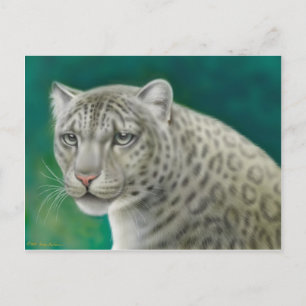 Briefkaart Snow Leopard