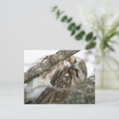 Briefkaart Snow Owl (Staand voorkant)