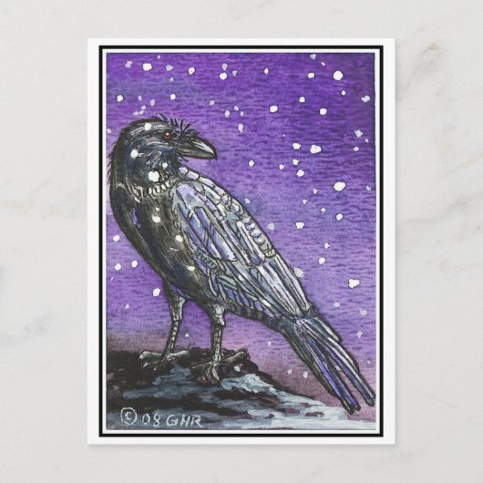 Briefkaart Snow Raven (Voorkant)