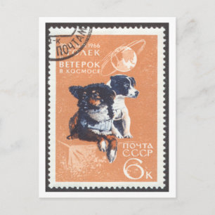 Briefkaart Space Dogs Veterok en Ugolyok