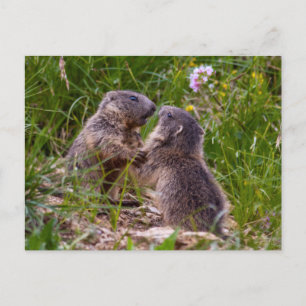 Briefkaart Sparing Partners