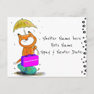 Briefkaart Spay & Neuter Cats Feline Shelters
