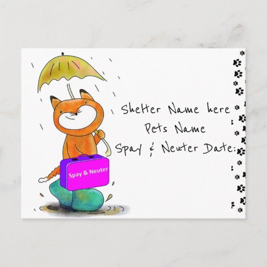 Briefkaart Spay & Neuter Cats Feline Shelters (Voorkant)