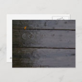 briefkaart "Spot of Color" (Voorkant / Achterkant)