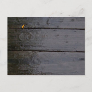 briefkaart "Spot of Color"