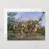 Briefkaart Spring (Voorkant / Achterkant)