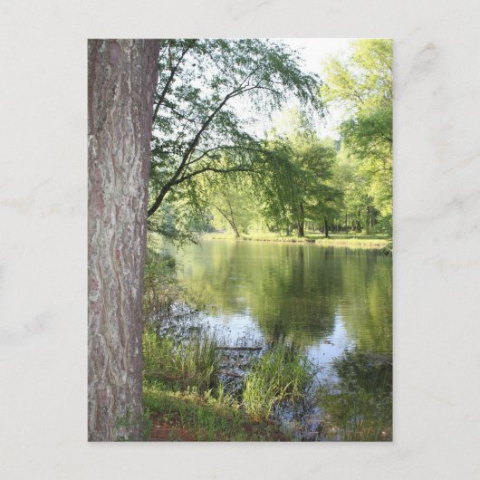 briefkaart "Springtime in East Tennessee" (Voorkant)