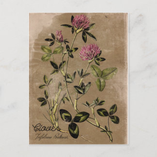 Briefkaart  stijlklap