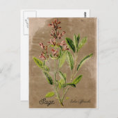 Briefkaart stijlpagina (Voorkant / Achterkant)