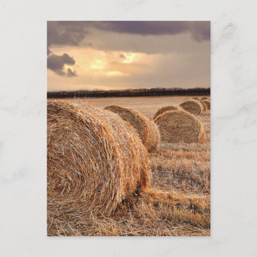 Briefkaart strobalen (Voorkant)