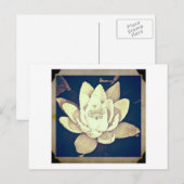 BRIEFKAART  STYLLOTUS FOTOGRAAF (Voorkant / Achterkant)