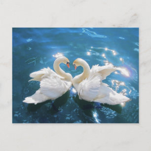 Briefkaart Swan