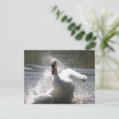 Briefkaart Swan (Staand voorkant)