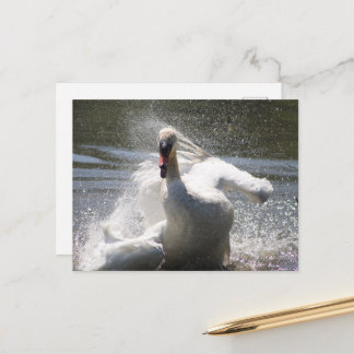 Briefkaart Swan