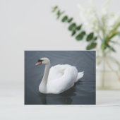 Briefkaart - Swan (Staand voorkant)