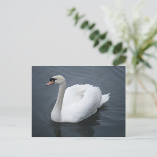 Briefkaart - Swan (Staand voorkant)