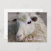 Briefkaart Sweet Dreams (Voorkant / Achterkant)