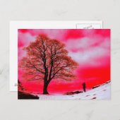 Briefkaart Sycamore Tree (Voorkant / Achterkant)