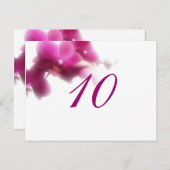 Briefkaart tabelnummer (Voorkant / Achterkant)