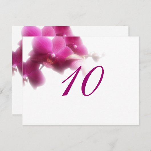 Briefkaart tabelnummer (Voorkant / Achterkant)