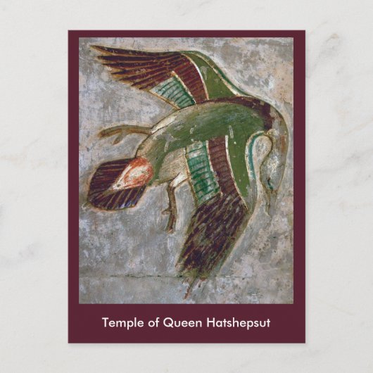 Briefkaart: Tempel van Koningin Hatshepsut Briefkaart (Voorkant)