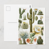 Briefkaart ter illustratie van botanische cactus (Voorkant / Achterkant)