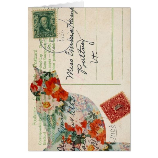 Briefkaart Terug 7 (Voorkant)