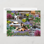 briefkaart "The Rock Garden" (Voorkant / Achterkant)