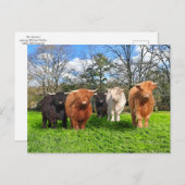 briefkaart "The Woolies" (Voorkant / Achterkant)