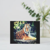 Briefkaart Tiger (Staand voorkant)