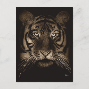 Briefkaart Tiger