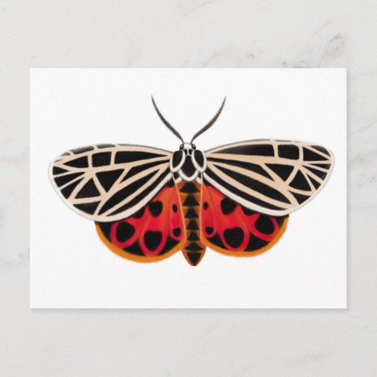 Briefkaart Tiger Moth (Voorkant)