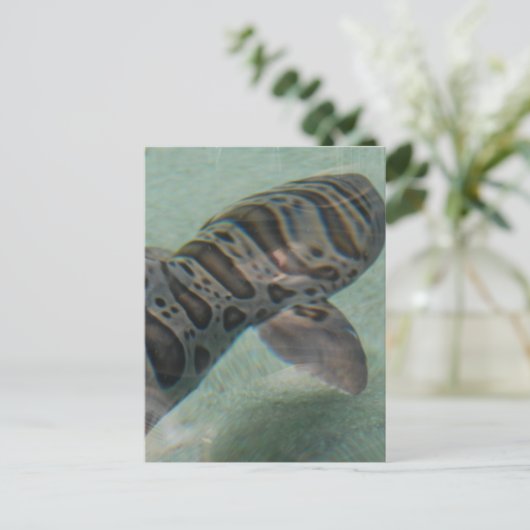 Briefkaart tijgerhaai (Staand voorkant)