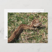 Briefkaart toevoegen (Voorkant / Achterkant)