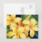 Briefkaart Tropisch Paradise Plumeria (Voorkant / Achterkant)