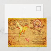 briefkaart tropische eilandkolibrie (Voorkant / Achterkant)