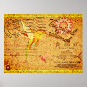  briefkaart tropische eilandkolibrie poster