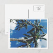 Briefkaart Tropische paradijspalmen (Voorkant / Achterkant)