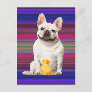 briefkaart "Tuffy McTuggs"