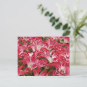 Briefkaart Tulip Photos (Staand voorkant)