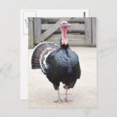 Briefkaart Turkije (Voorkant / Achterkant)