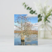 Briefkaart: twee bomen als één briefkaart (Staand voorkant)