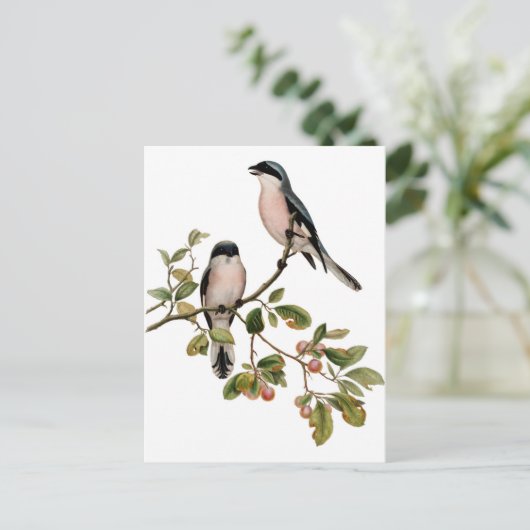 Briefkaart - Twee Vogels (Staand voorkant)