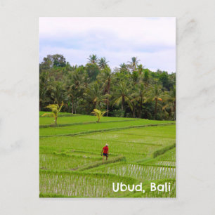 Briefkaart Ubud Bali Indonesië rijstvelden velden