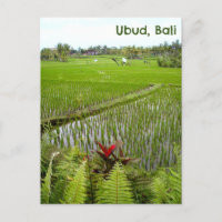Briefkaart Ubud Bali Indonesië rijstvelden velden