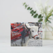 Briefkaart uit de Pongong Himalayan Mountain (Staand voorkant)