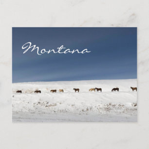 Briefkaart uit Montana